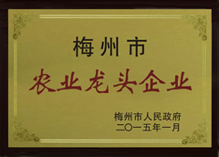 資質(zhì)證書(shū)
