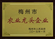 梅州市農(nóng)業(yè)龍頭企業(yè)